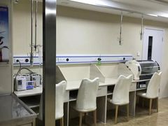 -A猫a狗全科·犬猫异宠·芥西宠物医院(南开总院)