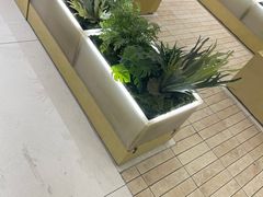 -喜茶(广州保利中环店)