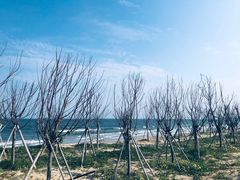 -汕头中海黄金海岸水上乐园