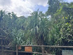 -海口火山口国家地质公园
