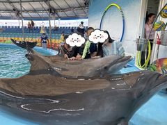 -尼莫海豚馆