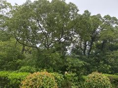-朱家尖南沙景点