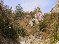 -彩色沙林风景区
