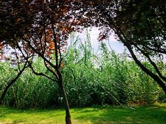 -云龙湖旅游景区