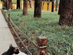 -西园戒幢律寺