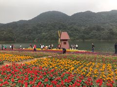 -广州市石门国家森林公园