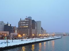 -币舞桥
