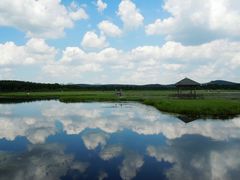 -御道口草原森林风景区