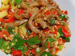 鸭掌筋-壹盏灯(惠农店)