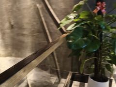 -新盈光·旗舰店(海曙苍松路店)