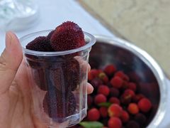 -菜当家