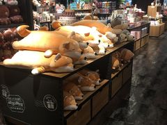 -酷乐潮玩(颛桥万达店)