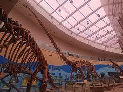 -陕西自然博物馆