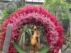 -呀路古热带植物园
