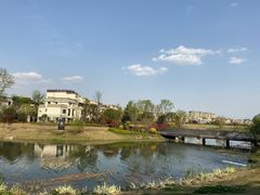 -两河城市森林公园