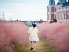 -鹅湖玫瑰文化园