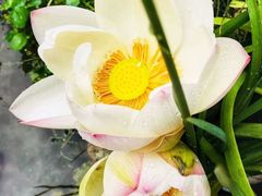 -不贰小院(余姚多元文化创意园店)