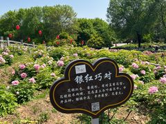 -洛阳市隋唐城遗址植物园