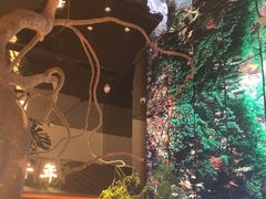 -桂满陇·海市蜃楼·黑金(国金店)