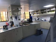 -宠颐生动物医院·猫科·心脏科(海口分院)