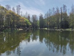-上海滨江森林公园