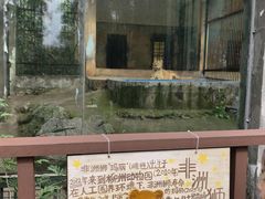 -柳州市动物园