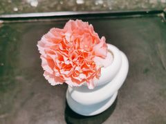 -王家渡火锅店(棕榈泉店)