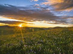 -塞罕坝国家级自然保护区