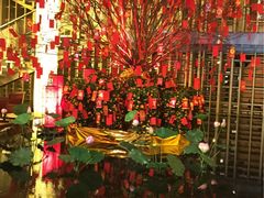 -The Lounge大堂酒廊·咖啡·沙拉·下午茶(金茂深圳JW万豪酒店)