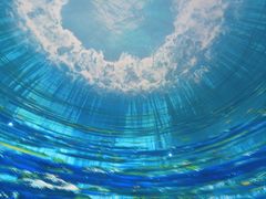 -海合安武汉极地海洋公园