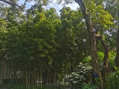 -柳侯公园