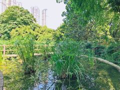 -成都市活水公园