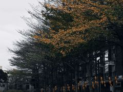 -广交会威斯汀酒店