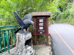 -西双版纳原始森林公园