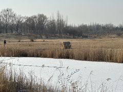 -赛汗塔拉风情园