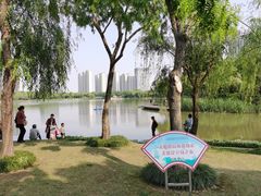 -南翔镇银翔湖公园