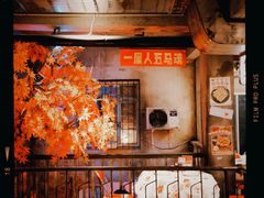 -五马集·海鲜·温州大牌档(黑金冠五马街十字路口店)