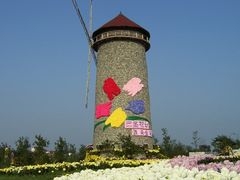 东篱菊园-三圣花乡旅游区