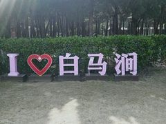 -白马涧龙池景区