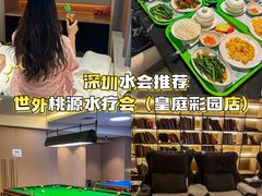 -世外桃源水疗会(皇庭彩园店)