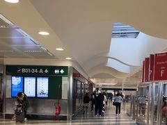 -米兰马尔彭萨国际机场