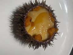 海胆蒸蛋-徐记海鲜(南油永新汇店)