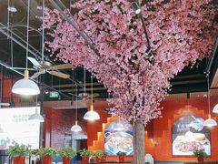 -骨气鼓气羊棒骨·羊蝎子(住总万科广场店)