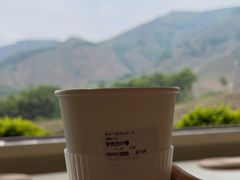 -白茶原·一片叶子