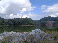 -广州市石门国家森林公园