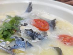 -农乐园食府(梅城镇店)
