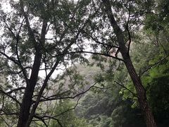 -碓臼峪自然风景区