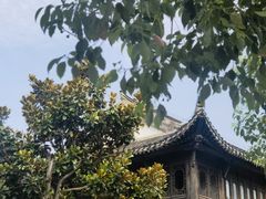 -台儿庄古城