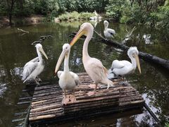 -济南野生动物世界