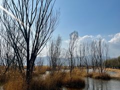 -野鸭湖国家湿地公园